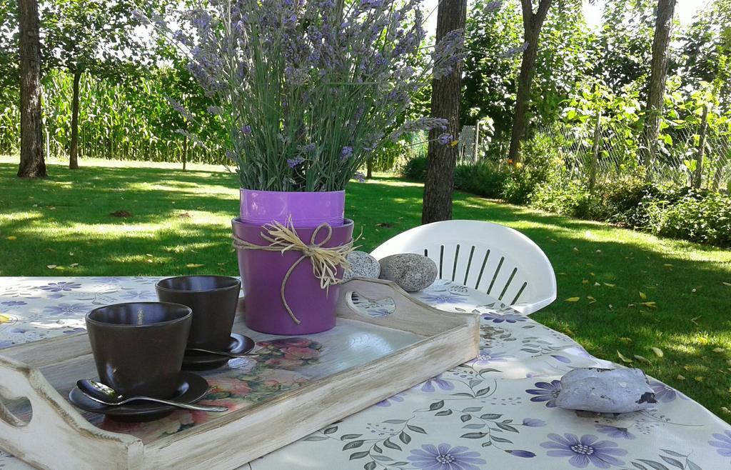 B&B Borgo Arcadia Poiana Maggiore Exterior photo
